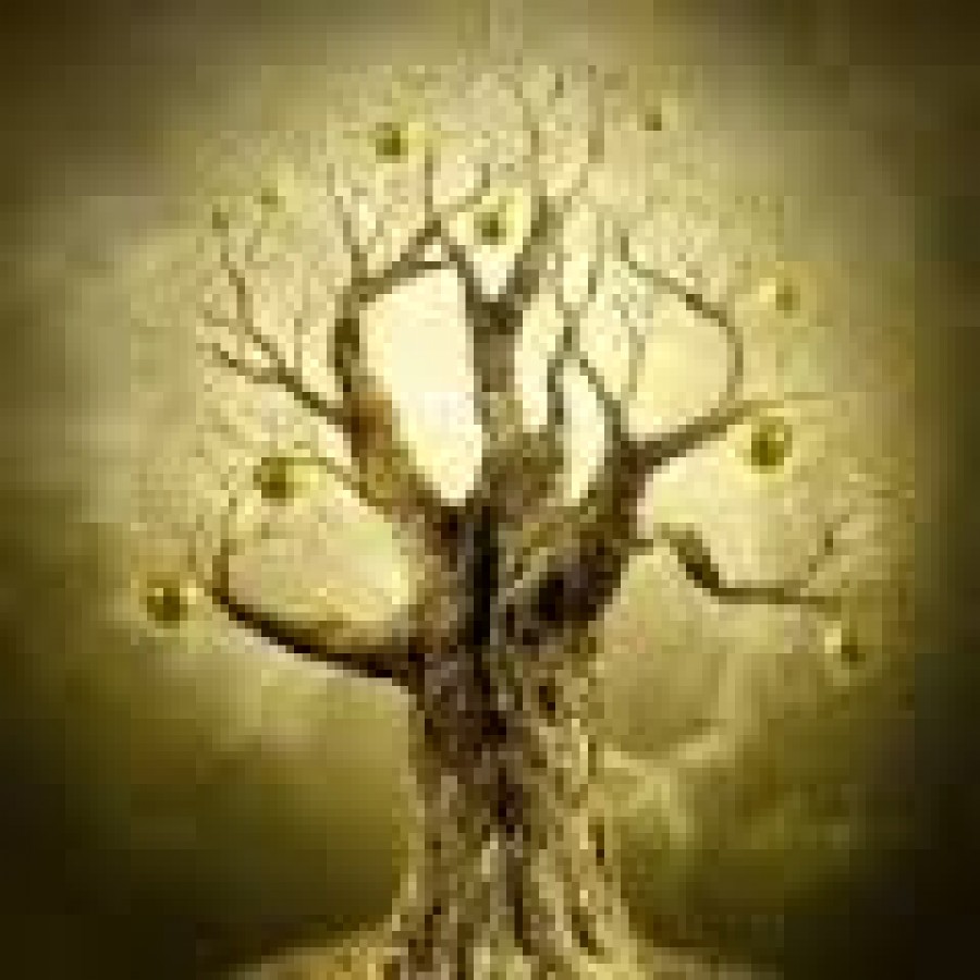 Tree of Life Symposium Level II:  Grounding